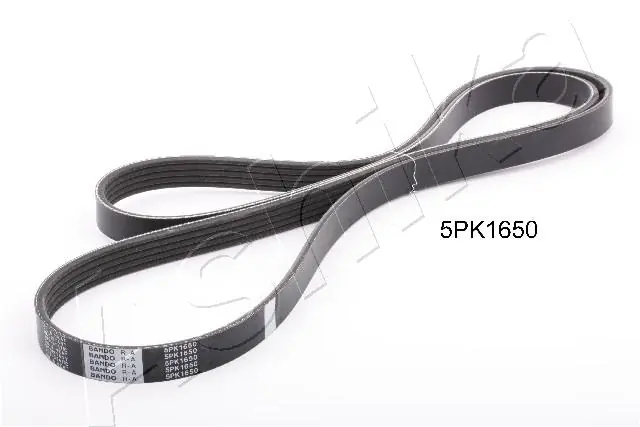 V-ribbed Belt