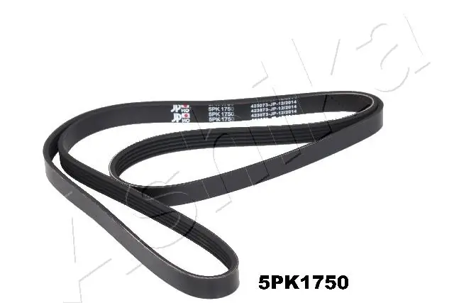 V-ribbed Belt