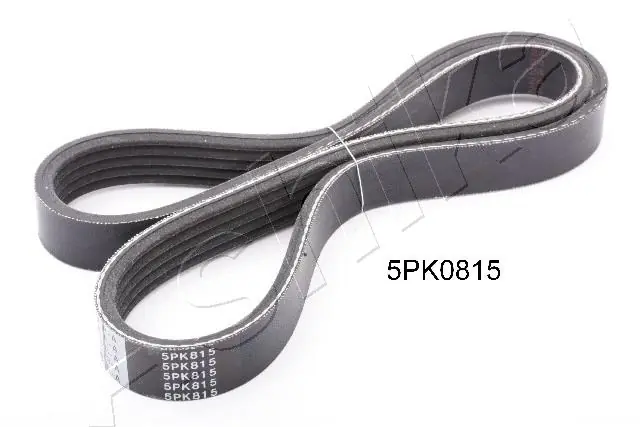 V-ribbed Belt
