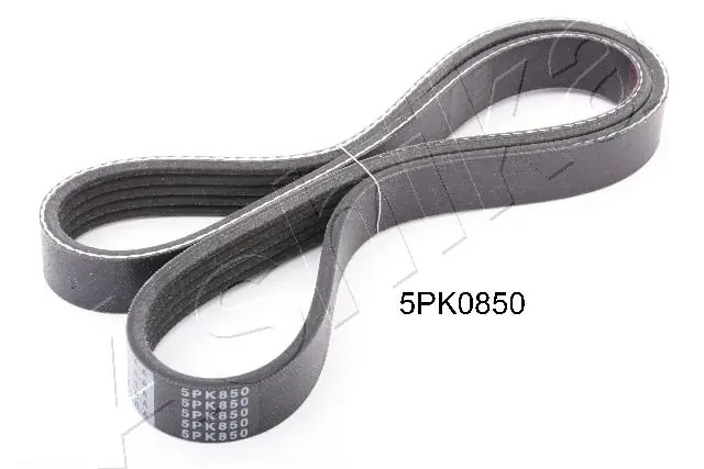 V-ribbed Belt