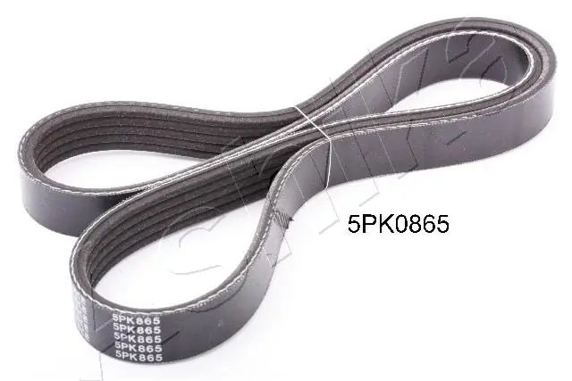 V-ribbed Belt