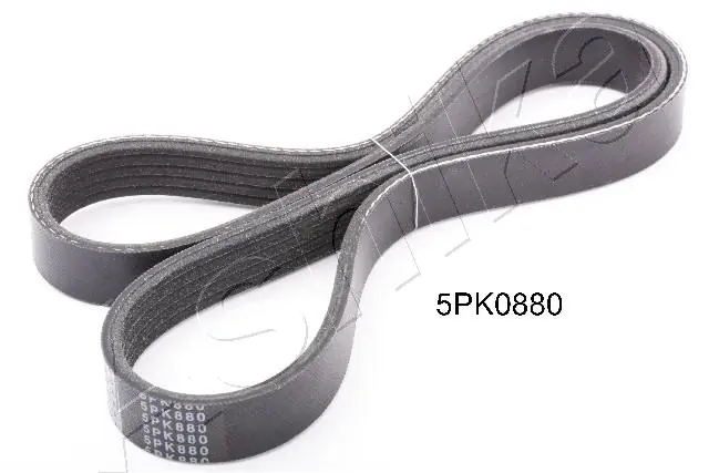 V-ribbed Belt