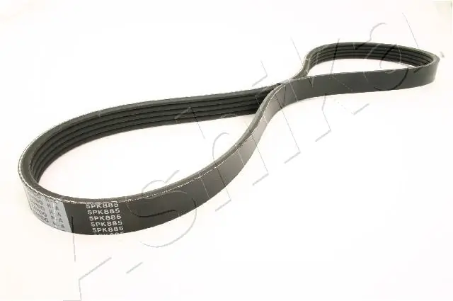 V-ribbed Belt