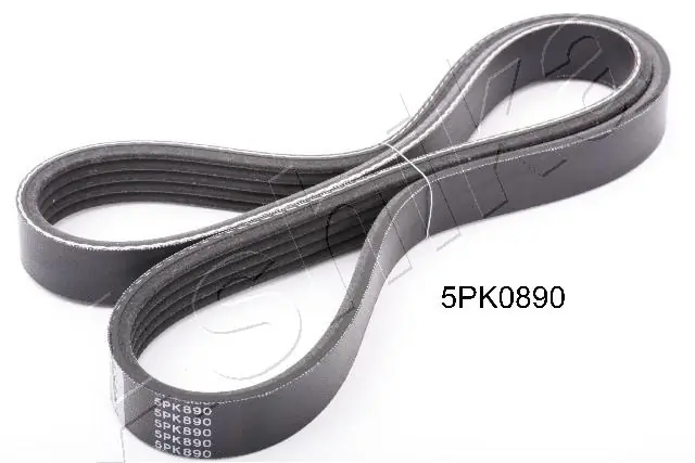 V-ribbed Belt