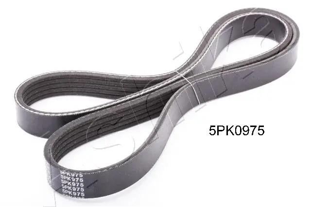 V-ribbed Belt