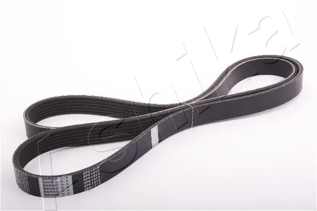 V-ribbed Belt