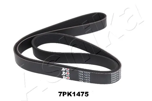 V-ribbed Belt