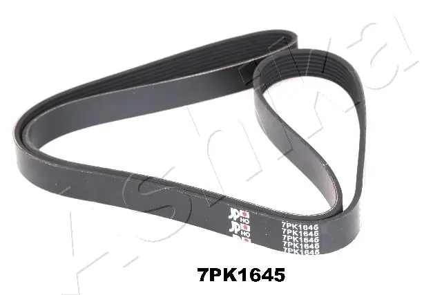 V-ribbed Belt