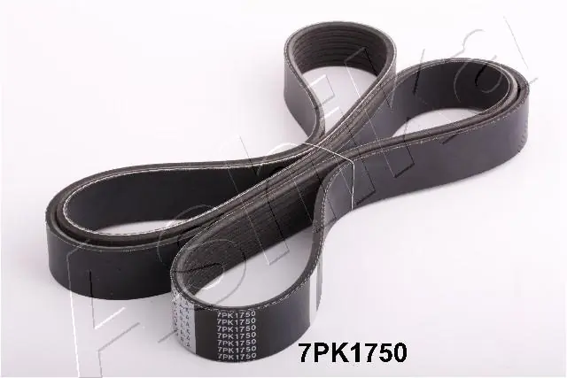 V-ribbed Belt