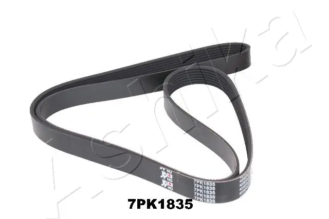 V-ribbed Belt