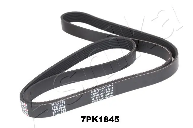 V-ribbed Belt