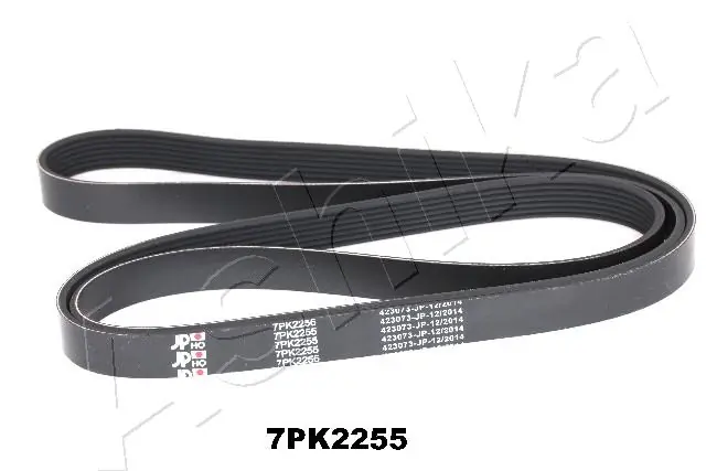 V-ribbed Belt