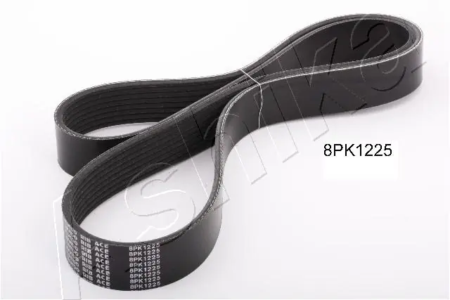 V-ribbed Belt
