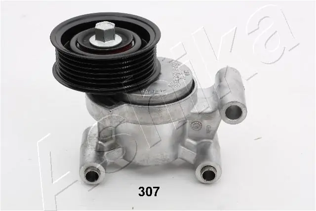 Tensioner Lever, V-ribbed belt