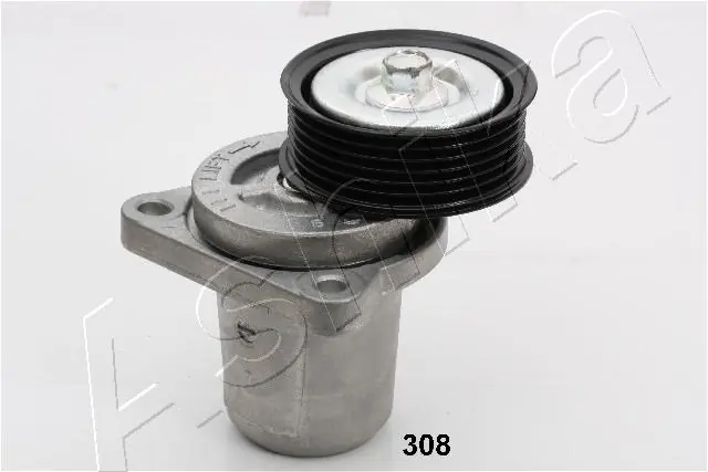 Tensioner Lever, V-ribbed belt