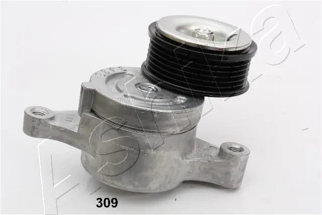 Tensioner Lever, V-ribbed belt