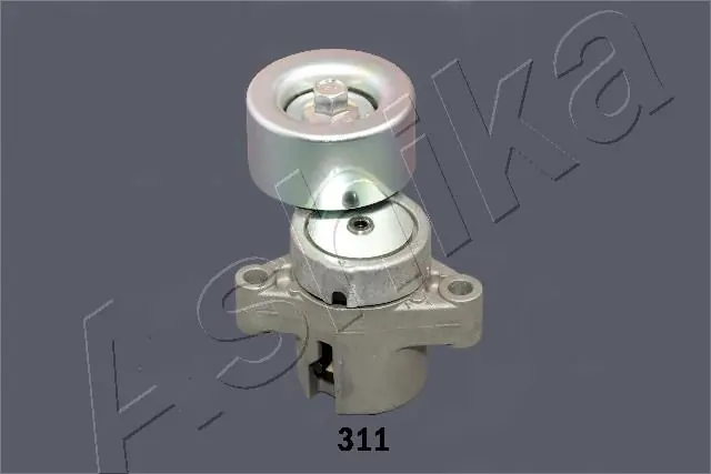 Tensioner Lever, V-ribbed belt