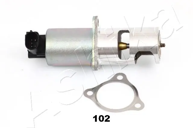 EGR Valve