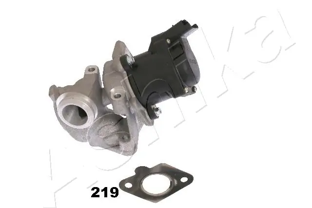 EGR Valve