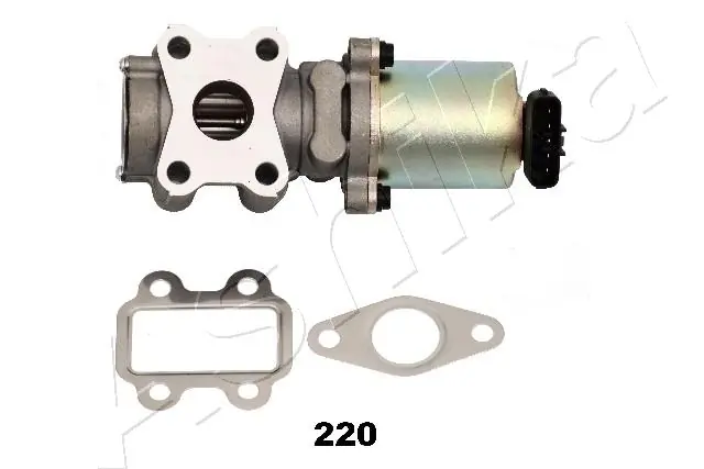 EGR Valve