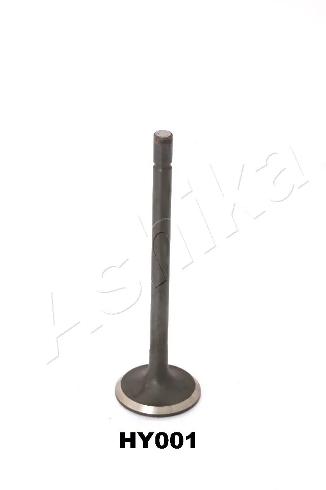 Exhaust Valve