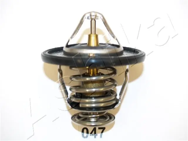 Thermostat, coolant