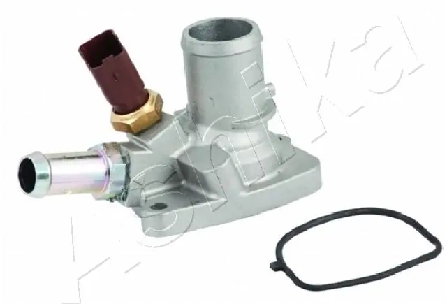 Thermostat, coolant