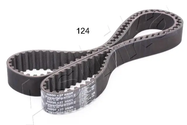 Timing Belt