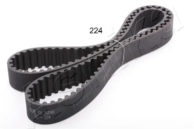 Timing Belt