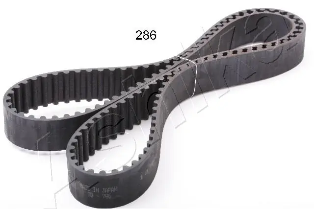 Timing Belt