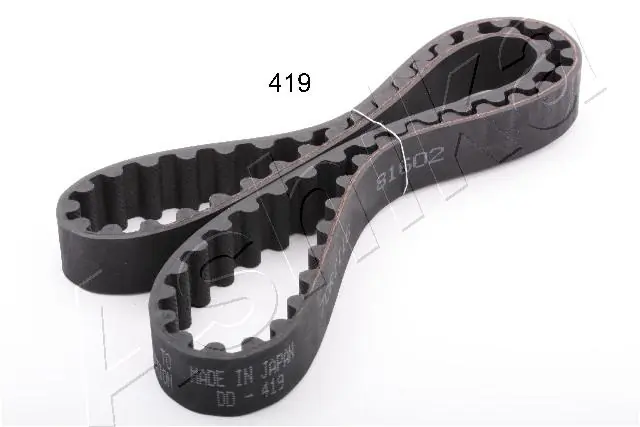 Timing Belt