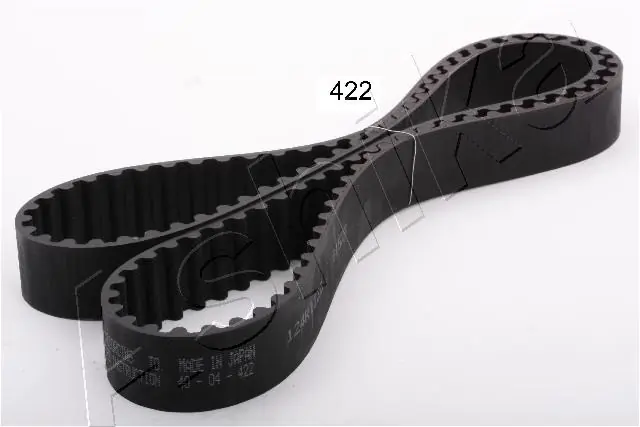 Timing Belt