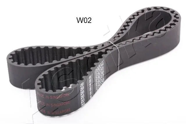 Timing Belt