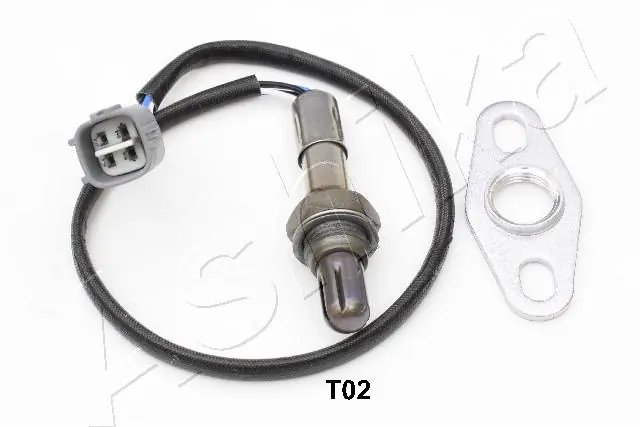 Oxygen Sensor