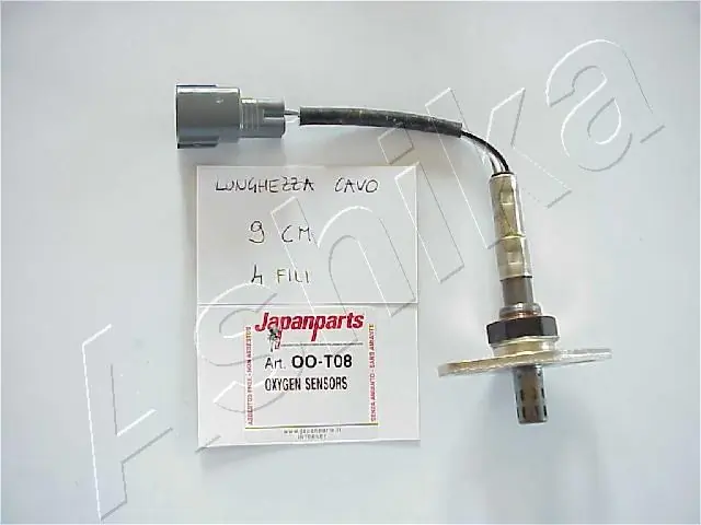 Oxygen Sensor