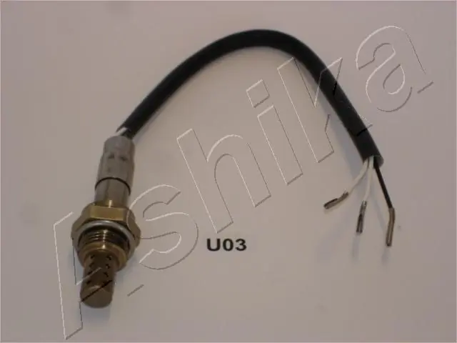 Oxygen Sensor