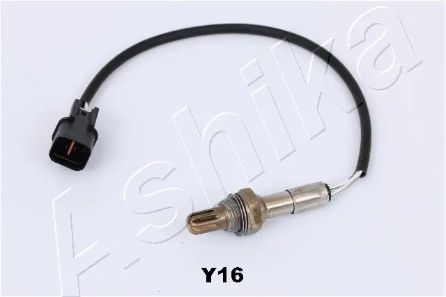 Oxygen Sensor
