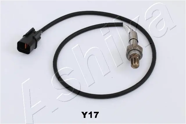 Oxygen Sensor