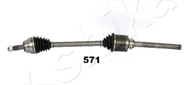 Drive Shaft