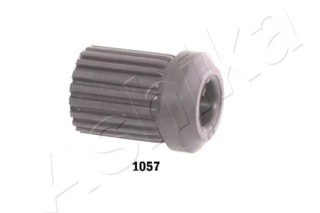 Bushing, leaf spring