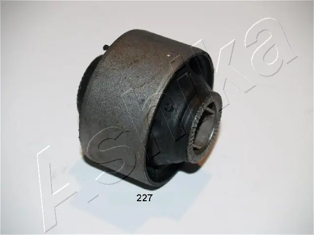 Mounting, control/trailing arm