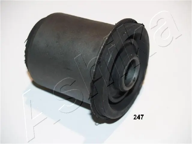 Mounting, control/trailing arm