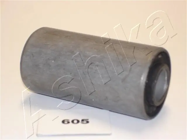 Bushing, leaf spring