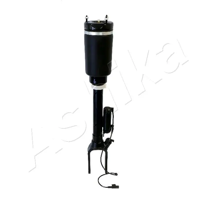 Air Suspension Strut
