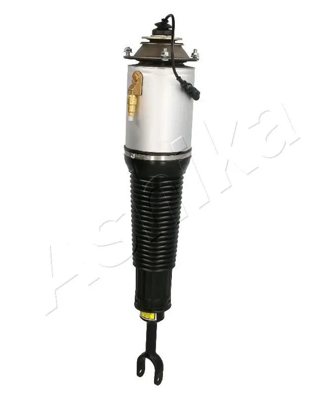 Air Suspension Strut