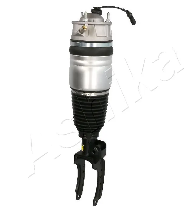 Air Suspension Strut