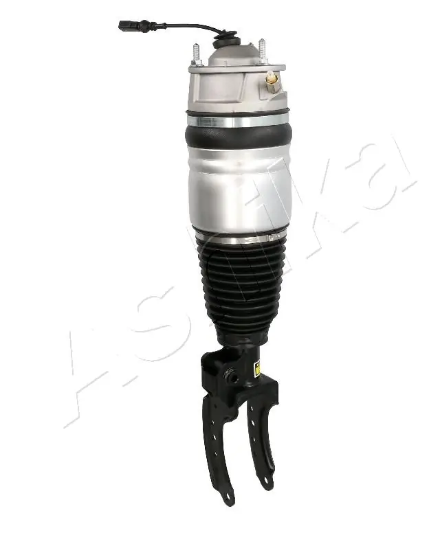 Air Suspension Strut