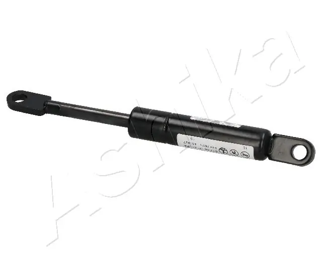 Gas Spring, boot/cargo area
