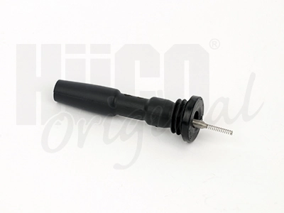 Plug, coil