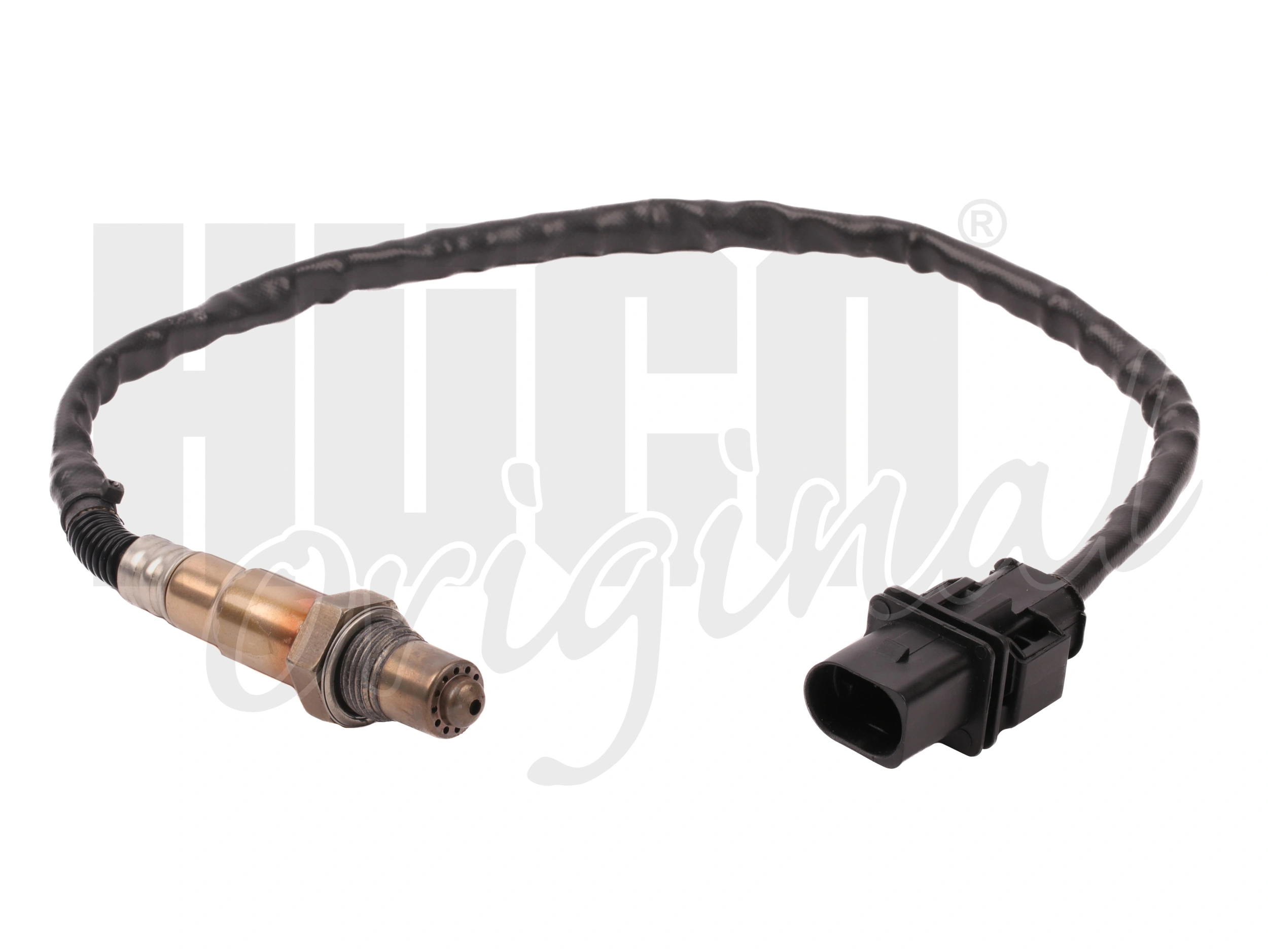 Oxygen Sensor
